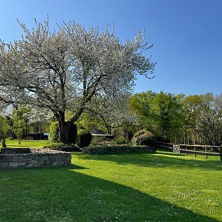 Le Domaine Du Ganquis Otel Belz Dış mekan fotoğraf