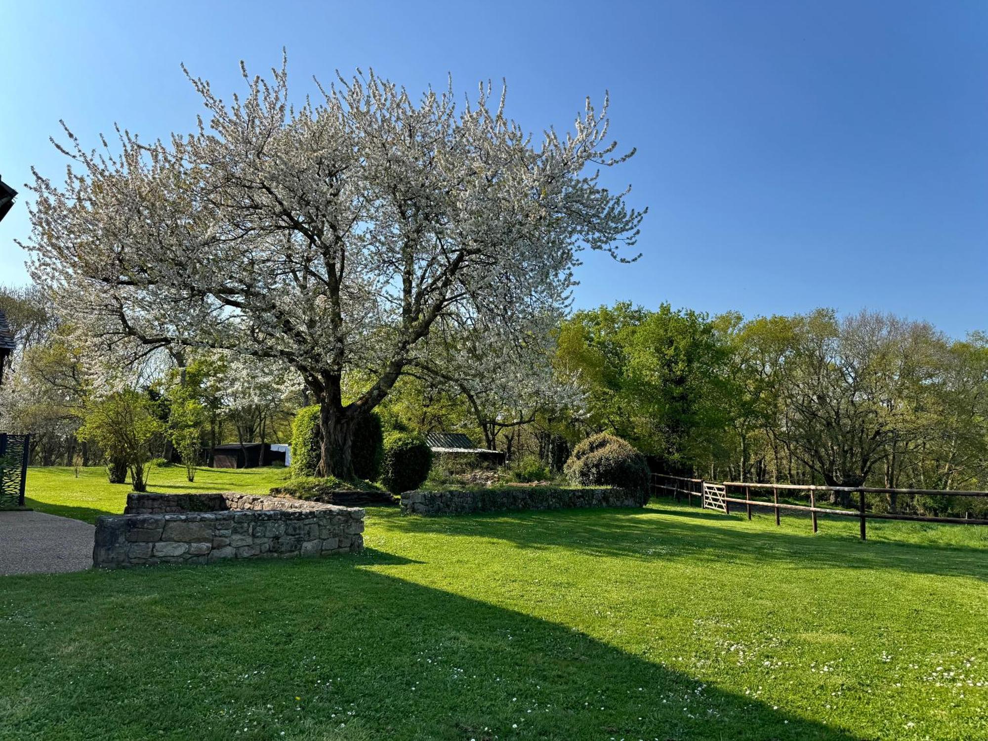 Le Domaine Du Ganquis Otel Belz Dış mekan fotoğraf